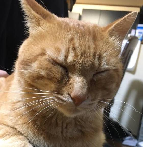 猫咪www.5.在线观看_猫咪www.5.在线观看_猫咪www.5.在线观看