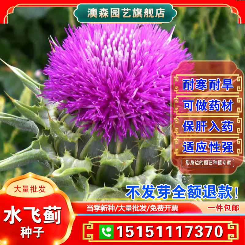 采药材的游戏_采药制药的游戏_手机游戏采药草