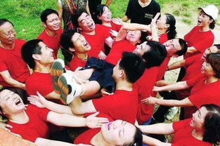 迷你农场游戏下载 