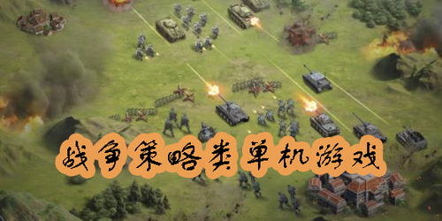 策略大型单机游戏,揭秘十大热门大型单机策略游戏