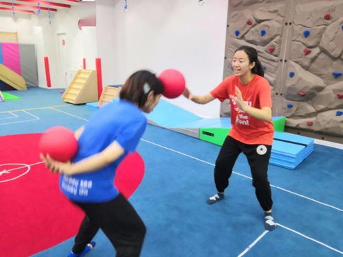头顶球的游戏,足球场上的空中霸主