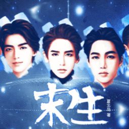 不一样的人生橙光 