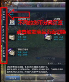 剑灵的游戏币,探寻神秘游戏币的奥秘与价值