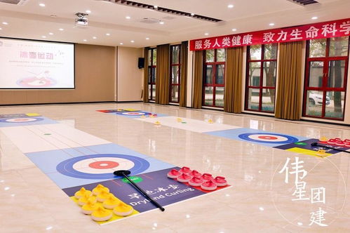集体游戏大全室内,共享时光
