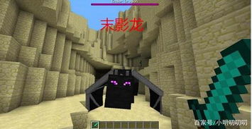 我和她的世界末日 