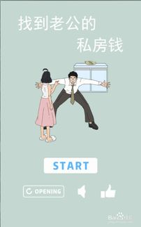 找老公游戏,一场别开生面的找老公游戏之旅
