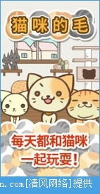 猫的游戏大全,带你领略萌宠欢乐时光