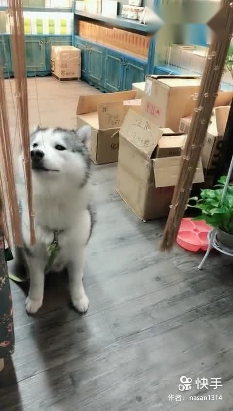 才不是童话游戏 