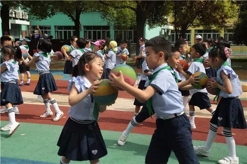 活动课的游戏,活动课游戏盛宴