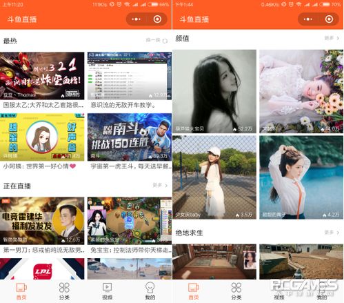 海鱼小说海鱼小说免费阅读 