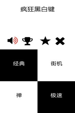 黑白键的游戏,探寻音乐与人生的交响乐章