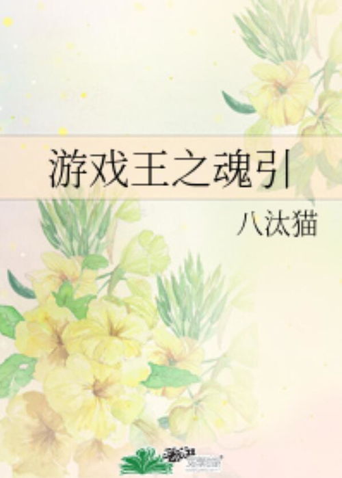 游戏王之魂引,探寻卡牌世界的神秘力量