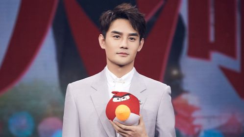 王凯的游戏,揭秘电竞明星的电竞人生