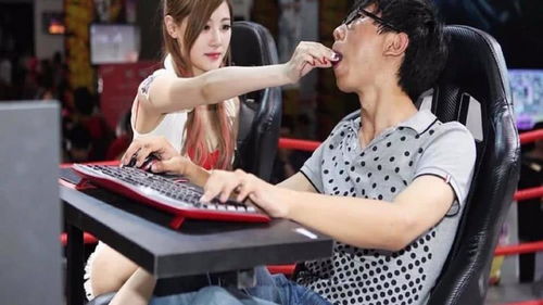 中国司法案例网新版 