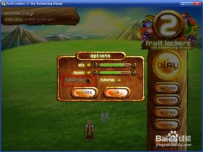 游戏英语版,Unveiling the Thrills: A Comprehensive Overview of the English Edition Video Game