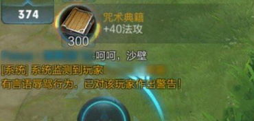 游戏对骂,激情对骂背后的热血与智慧