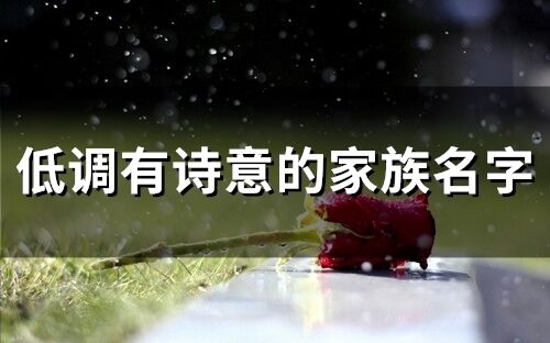 令人满意的谜题 