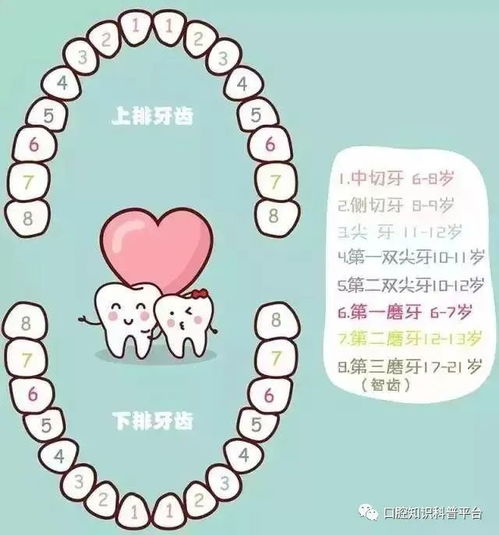 山海游戏大全 