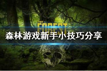模拟建造森林游戏官中文版2024下载官网版 