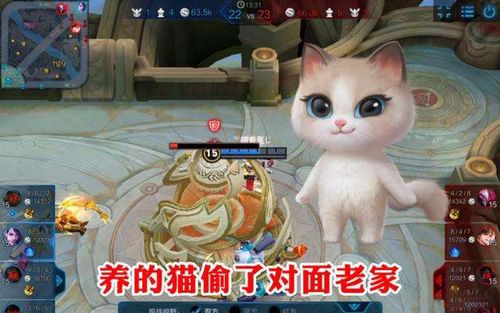 你叫什么鸭 