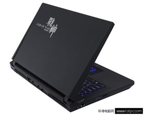 怎么样才能不当社畜:妻子的故事 