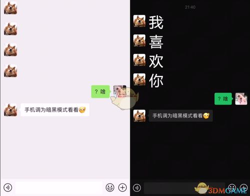 太太我喜欢你 
