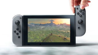 怀德花园switch游戏 