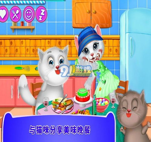 照顾小猫的游戏