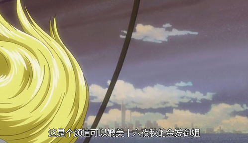 游戏王5ds雪莉