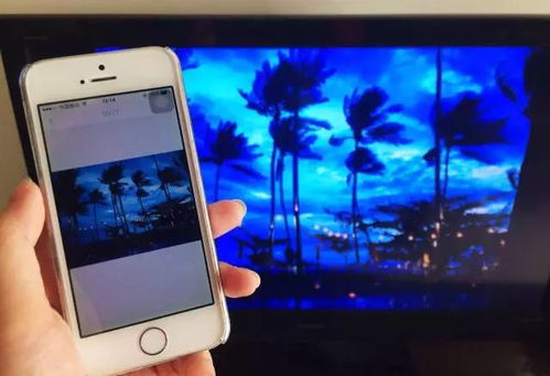 弈玩游戏盒子3.1.2版本 